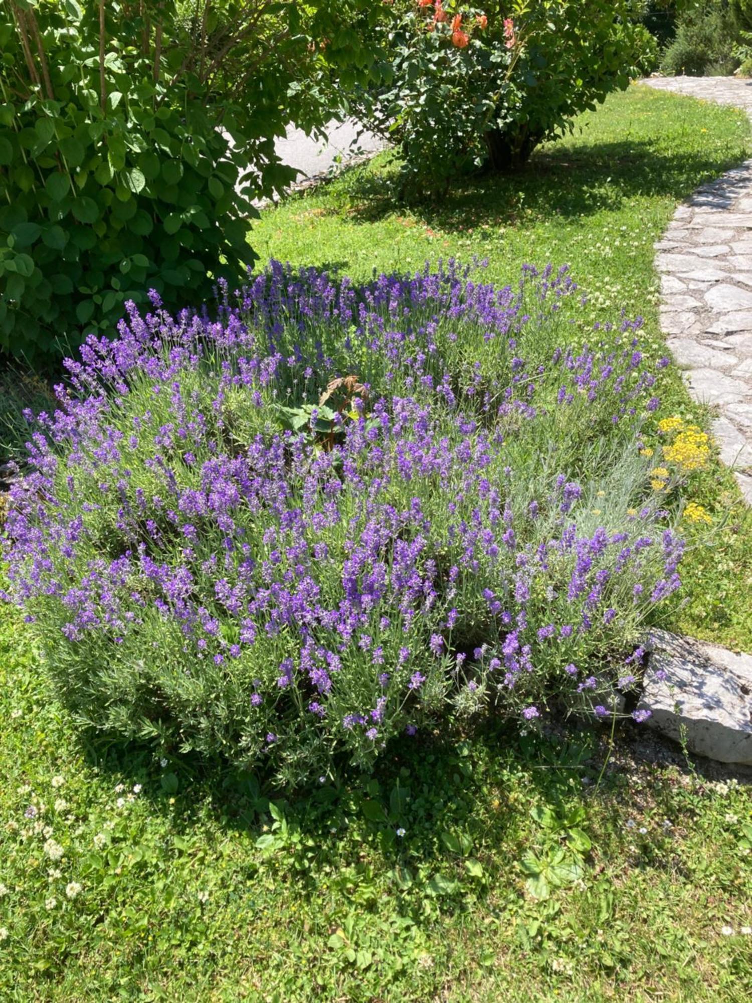 Villa Lykos Plitvice Plitvička Jezera Buitenkant foto
