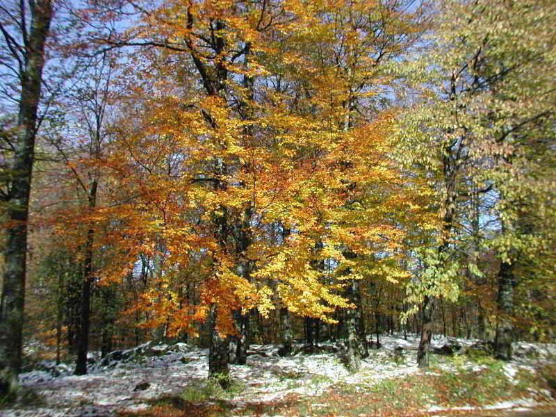 Villa Lykos Plitvice Plitvička Jezera Buitenkant foto